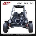 X′Mas cadeau plein air 2 places puissance moteur 150cc Go Kart